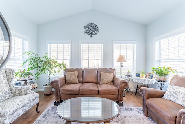 living room featuring light hardwood / wood-style floors and lofted ceiling