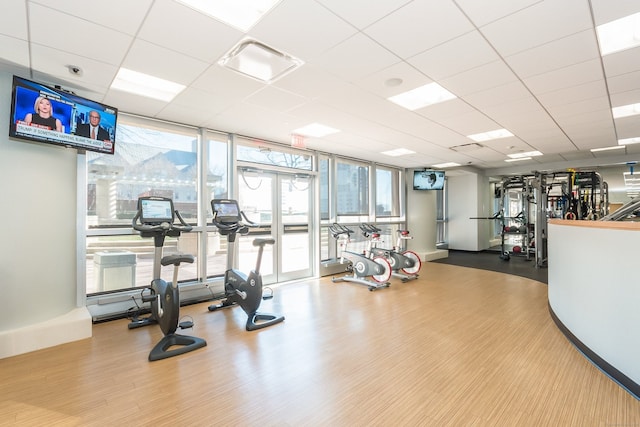 workout area with hardwood / wood-style flooring, a paneled ceiling, and a wall of windows