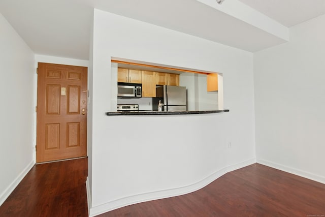 kitchen with light brown cabinets, dark hardwood / wood-style flooring, and stainless steel appliances