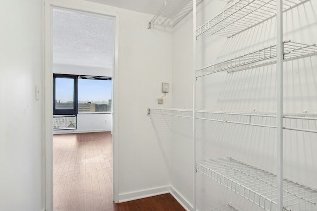 spacious closet featuring dark wood-type flooring