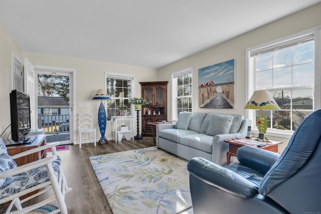 living room featuring a healthy amount of sunlight and dark hardwood / wood-style floors