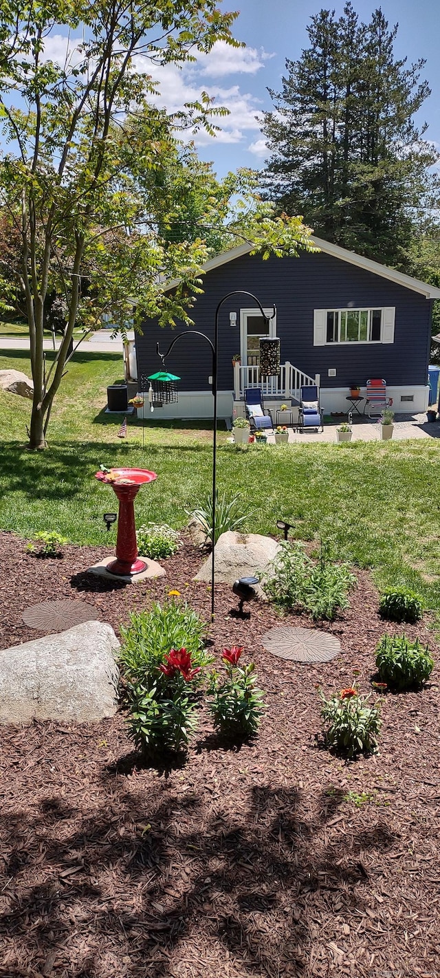 view of yard featuring a patio area