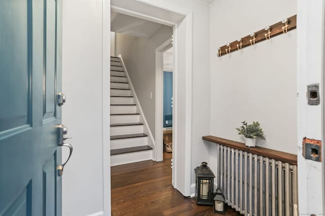 entrance foyer featuring dark hardwood / wood-style flooring