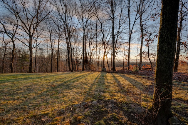 view of yard at dusk