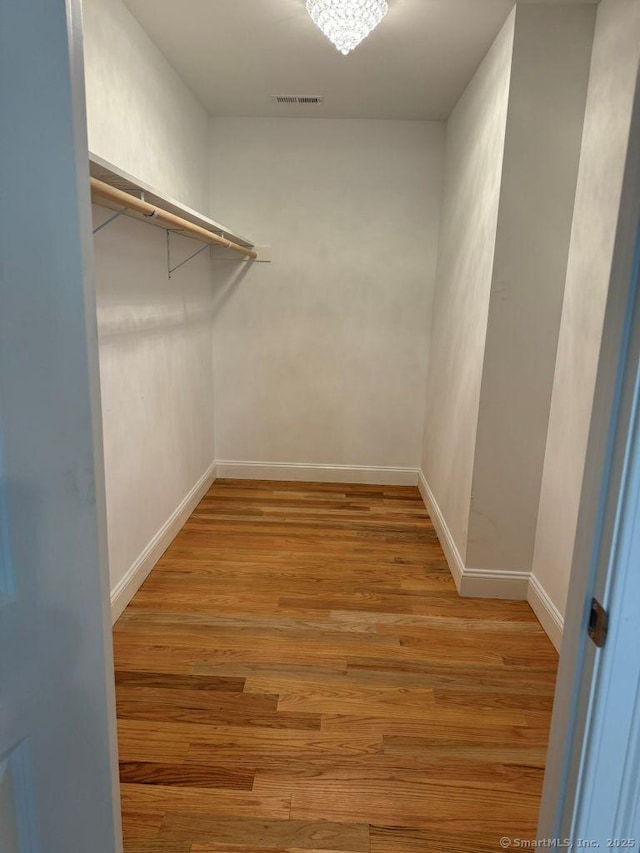 walk in closet featuring light hardwood / wood-style floors