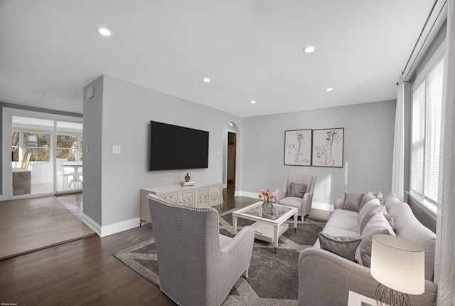 living room with dark hardwood / wood-style floors