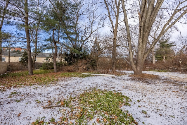 view of snowy yard