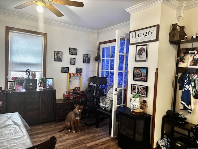 interior space featuring ceiling fan, crown molding, and dark wood-type flooring