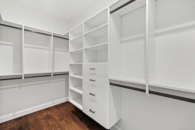 spacious closet featuring dark hardwood / wood-style floors