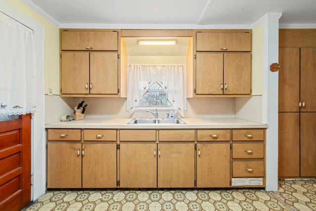 kitchen with crown molding and sink