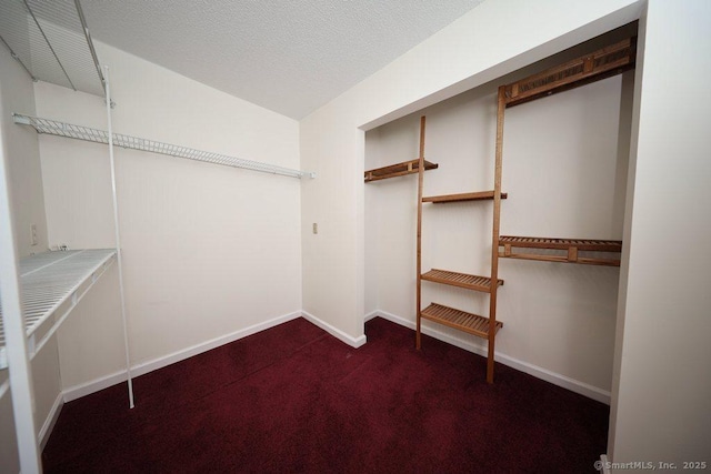 spacious closet with dark colored carpet