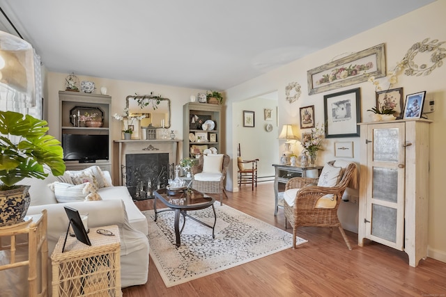 living room featuring wood-type flooring