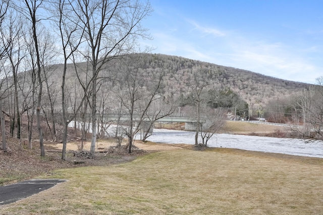 view of yard with a mountain view