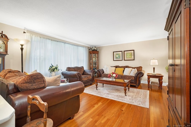 living room with hardwood / wood-style floors