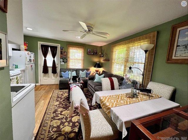 dining area with ceiling fan and light hardwood / wood-style flooring