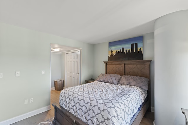 bedroom with a closet and wood-type flooring