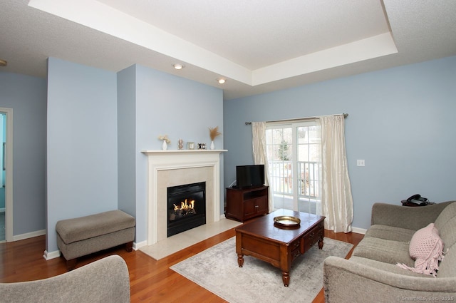 living room featuring light hardwood / wood-style floors and a raised ceiling