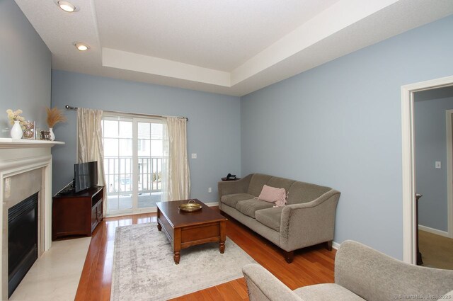 living room featuring a raised ceiling and light hardwood / wood-style flooring