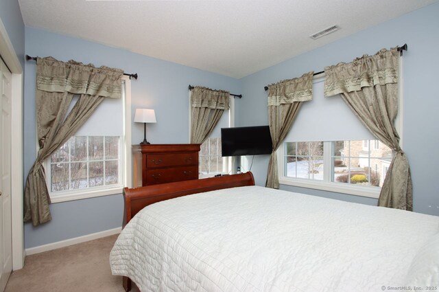 carpeted bedroom with multiple windows