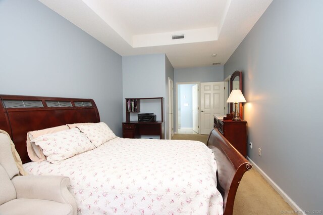 bedroom with carpet flooring and a raised ceiling