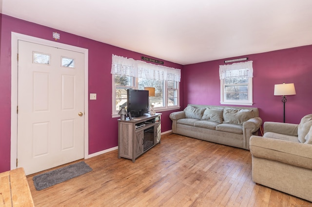 living room with wood-type flooring