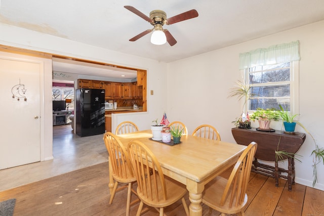 dining area with ceiling fan and light wood-type flooring