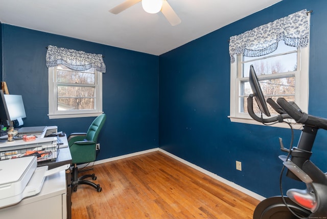 office space with ceiling fan and wood-type flooring