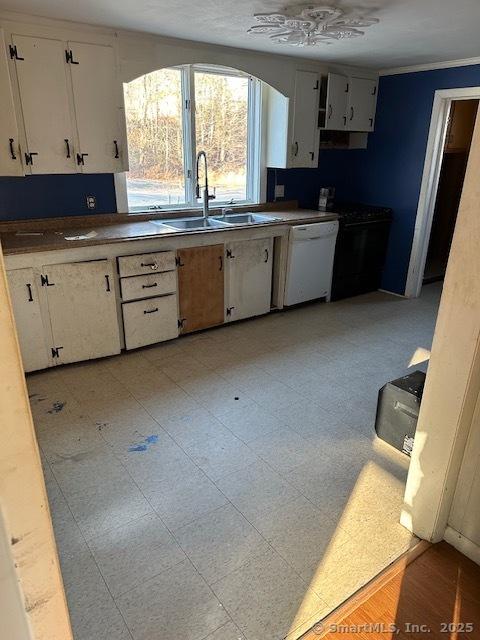 kitchen featuring white dishwasher, white cabinetry, and sink