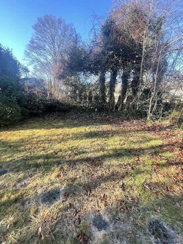 191 Anson St, Stratford, CT 06614 - view of yard