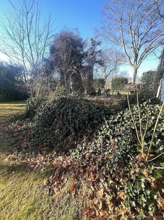 191 Anson St, Stratford, CT 06614 - view of local wilderness