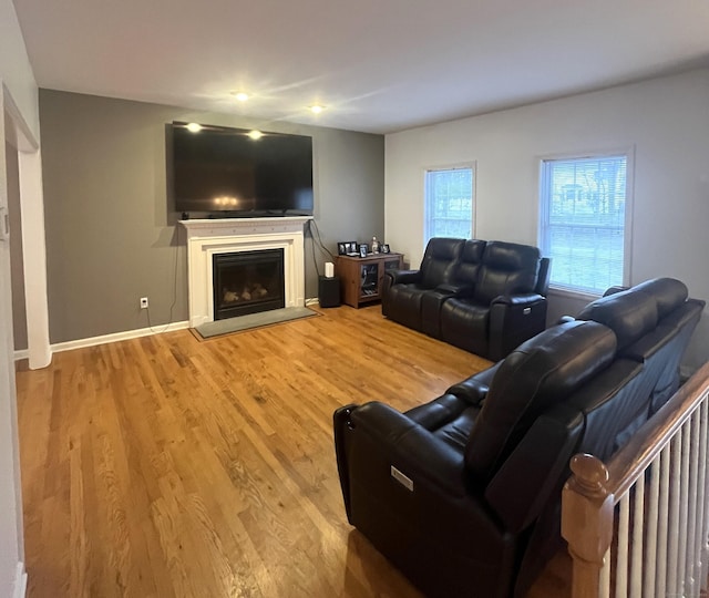 living room with wood-type flooring