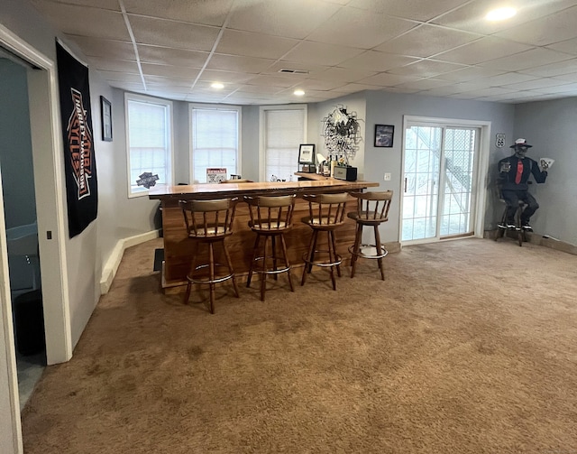 bar featuring a drop ceiling and carpet