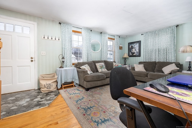 living room with hardwood / wood-style flooring