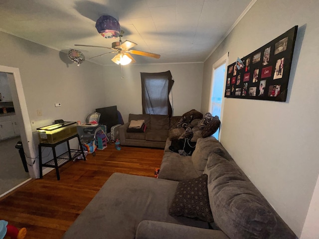 living room featuring ceiling fan, dark hardwood / wood-style flooring, and crown molding