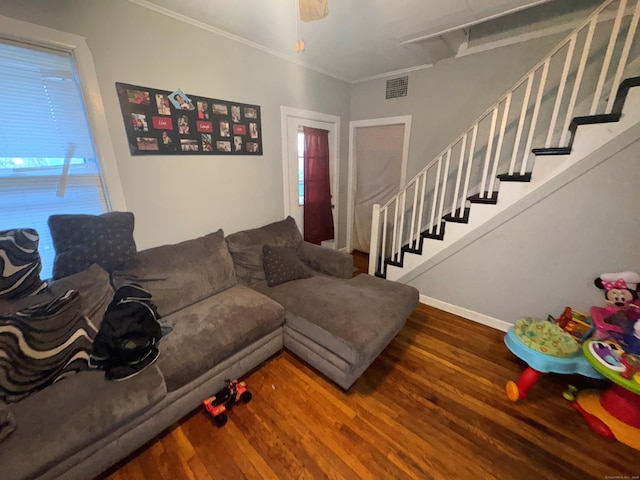 living room featuring hardwood / wood-style floors, ceiling fan, and ornamental molding