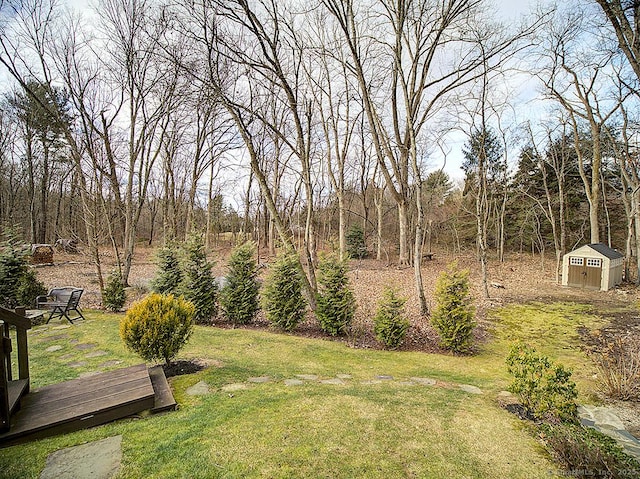 view of yard featuring a storage unit