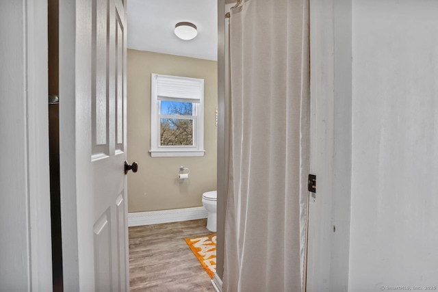 bathroom with hardwood / wood-style flooring and toilet