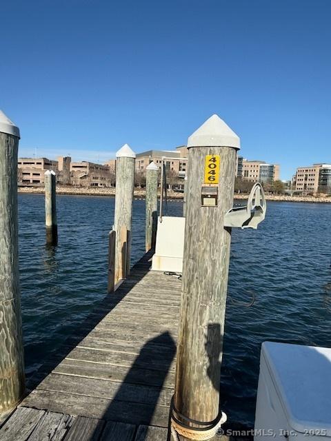 dock area with a water view