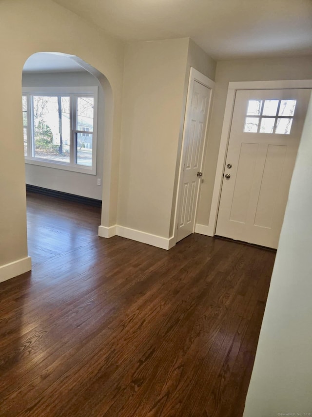 entryway featuring dark hardwood / wood-style flooring and a healthy amount of sunlight