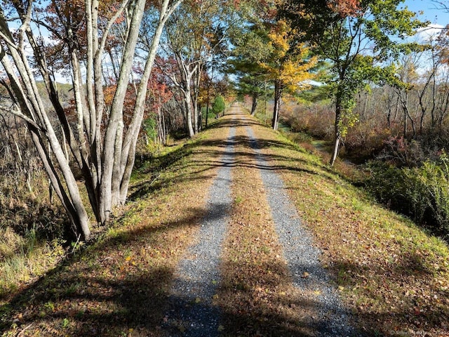 view of street