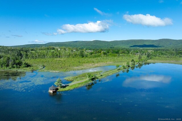 145 Taconic Rd, Salisbury, CT 06068 - bird's eye view of a heavily wooded area and a water and mountain view