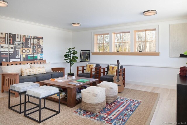 145 Taconic Rd, Salisbury, CT 06068 - living room with crown molding and wood finished floors