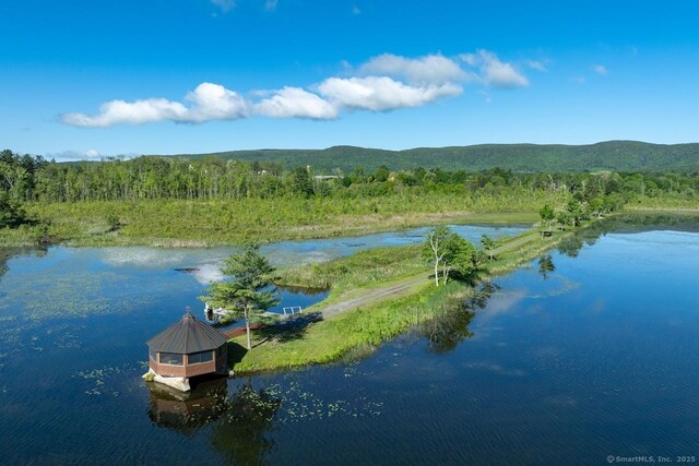 145 Taconic Rd, Salisbury, CT 06068 - water view featuring a heavily wooded area and a mountainous background
