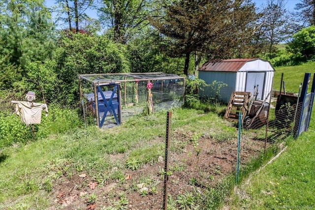 view of yard featuring a shed