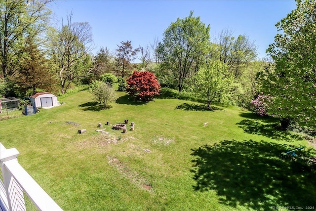 view of yard featuring a shed