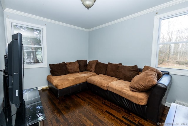 living room featuring dark hardwood / wood-style floors and ornamental molding