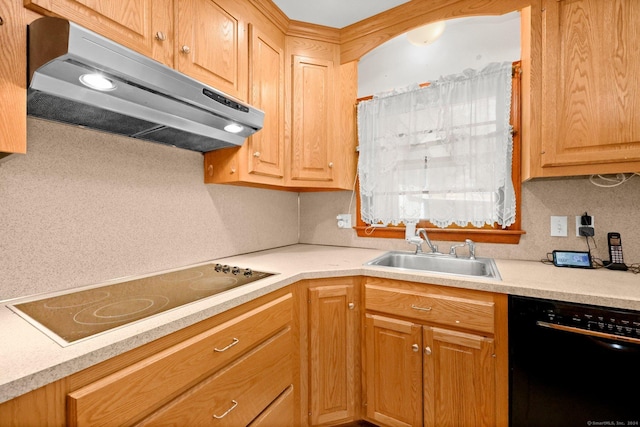 kitchen with electric cooktop, dishwasher, and sink