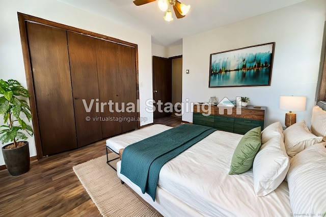 bedroom with a closet, ceiling fan, and dark wood-type flooring