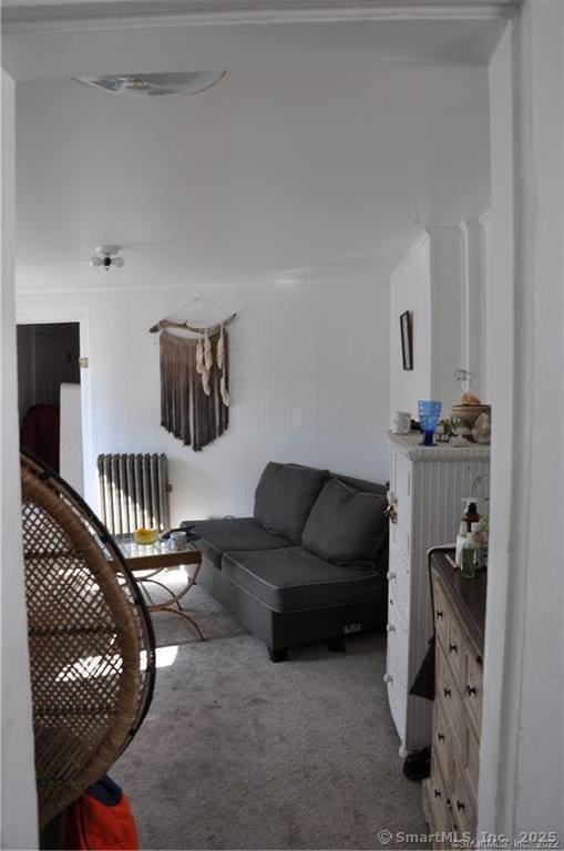 living room with carpet floors and radiator