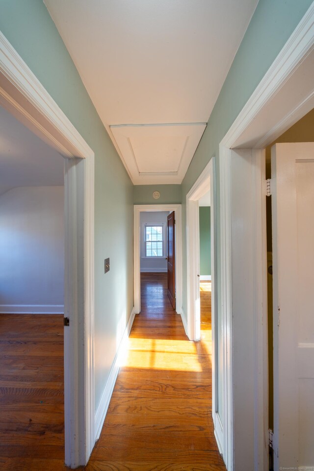 hall with hardwood / wood-style flooring